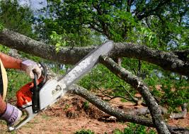 Lawn Renovation and Restoration in Huntington Station, NY